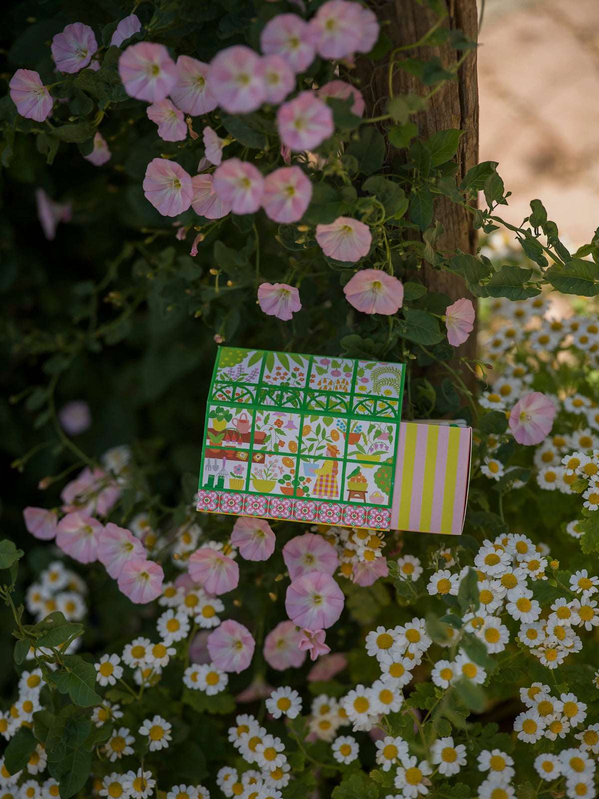 The Green House | House Matchboxes