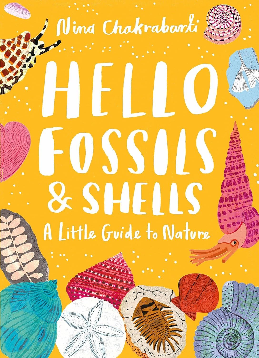 HELLO FOSSILS AND SHELLS: A LITTLE GUIDE TO NATURE