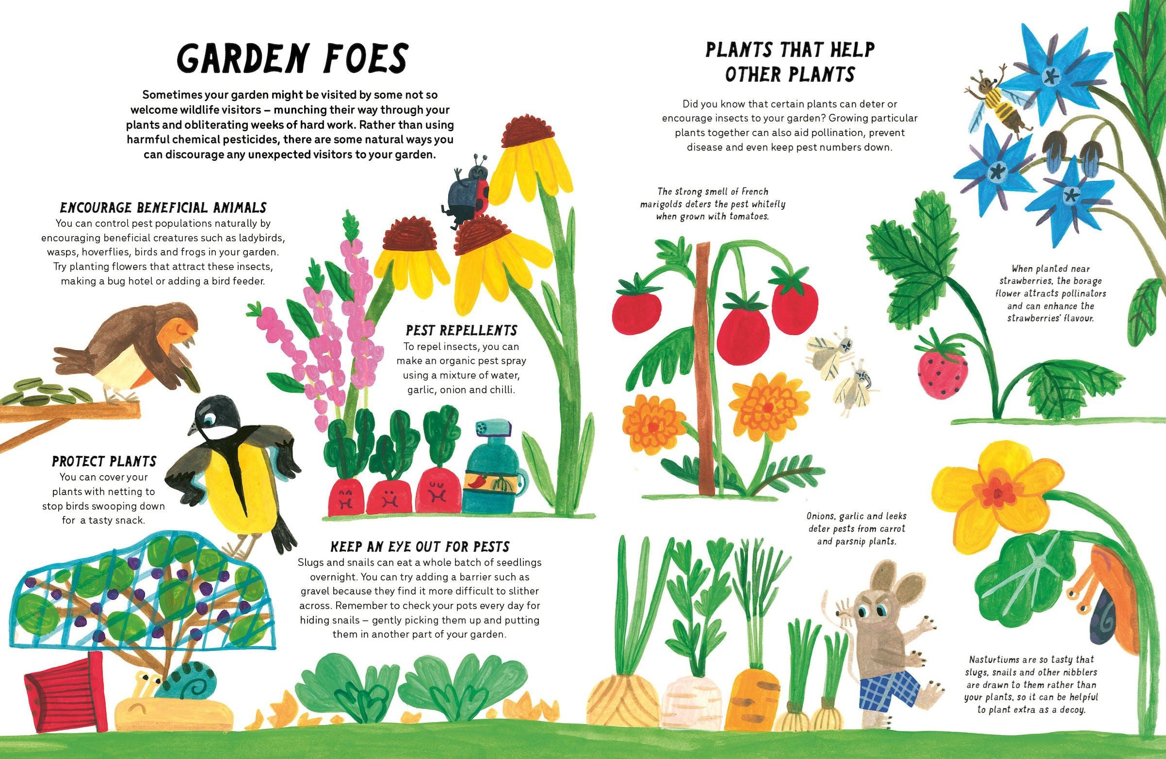 LITTLE GARDENERS HANDBOOK
