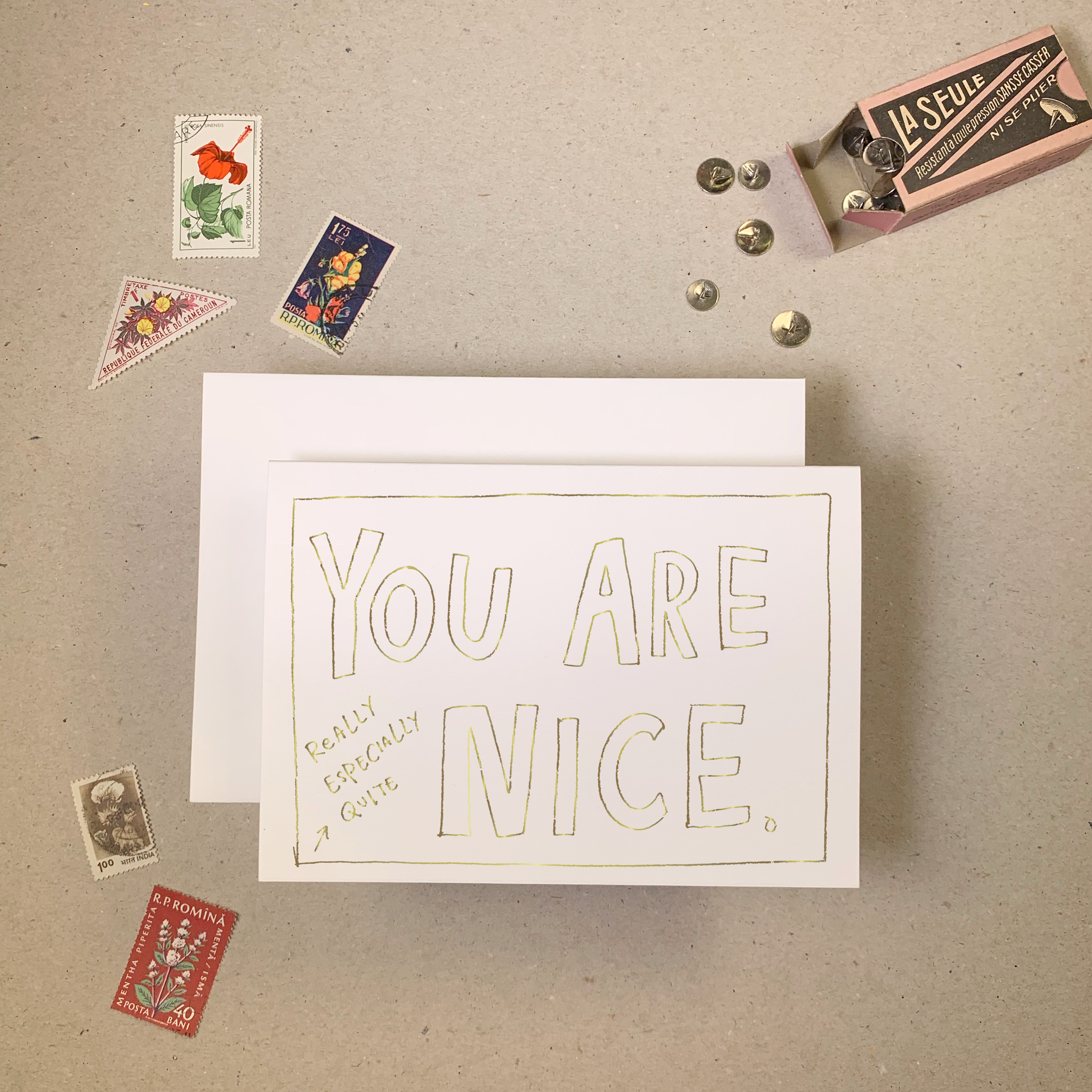 YOU ARE 'really especially quite' NICE Greetings Card