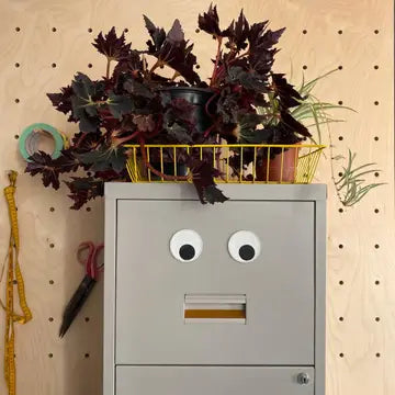 Eyeball Magnets