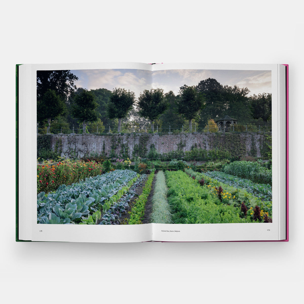 KITCHEN GARDEN