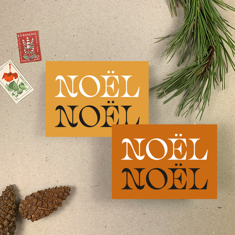 Noel Charity Christmas Card Mixed Box