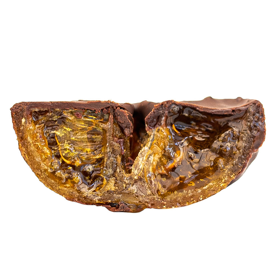 Seggiano Chocolate Clementines