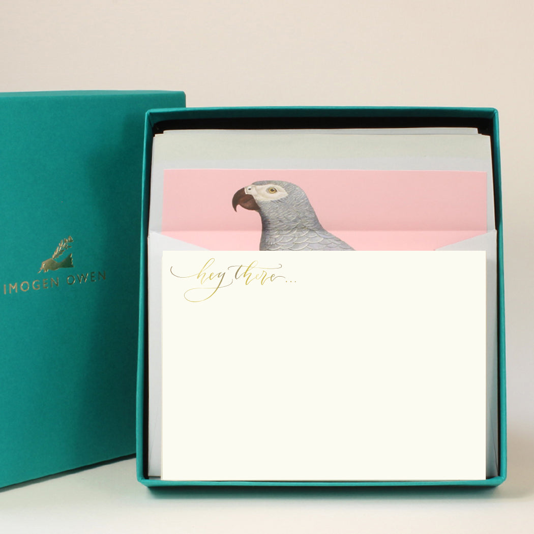 Luxury Correspondence Set - Parrot